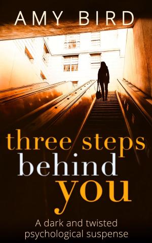 Cover of the book Three Steps Behind You by E. Clay
