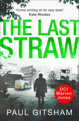 Cover of the book The Last Straw (DCI Warren Jones, Book 1) by Wendy Lou Jones