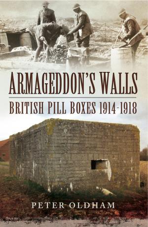 Book cover of Armageddon's Walls