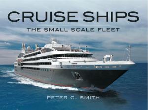 Cover of the book Cruise Ships The Small Scale Fleet by William Bennett