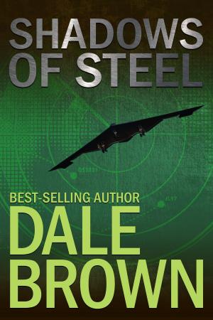 Cover of the book Shadows of Steel by Jon Michael Miller