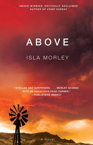 Cover of the book Above by Phil Gordon