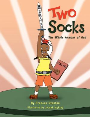 Cover of the book Two Socks by P. A. Shepherd