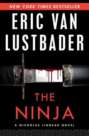 Cover of the book The Ninja by Richard McNail Jr