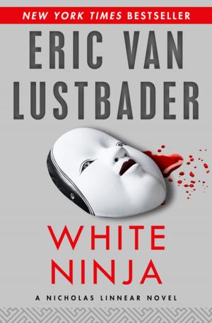 Cover of the book White Ninja by Jon Land