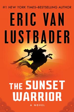 Cover of the book The Sunset Warrior by David Feintuch