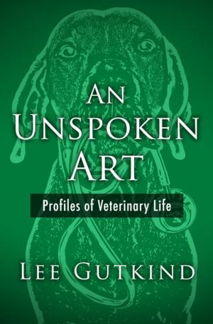Book cover of An Unspoken Art