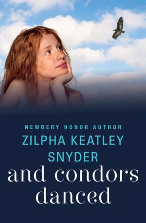 Cover of the book And Condors Danced by Liz Williams