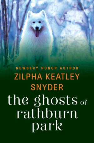 Cover of the book The Ghosts of Rathburn Park by Ruth Rendell