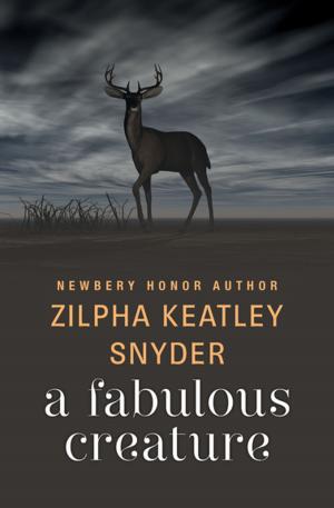 Cover of the book A Fabulous Creature by John Yount