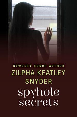 Book cover of Spyhole Secrets