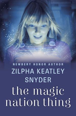 Cover of the book The Magic Nation Thing by Carol Shields