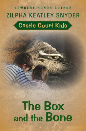 Cover of the book The Box and the Bone by Loren D. Estleman