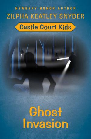 Cover of the book Ghost Invasion by Hester Mundis