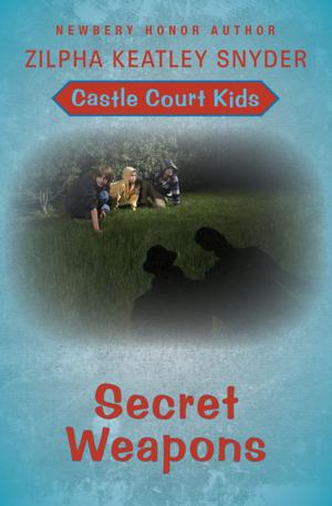 Cover of the book Secret Weapons by Joe Haldeman