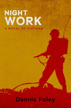 Cover of the book Night Work by B. Heather Mantler