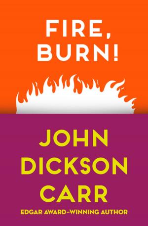 Cover of the book Fire, Burn! by Chris Lynch