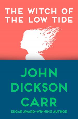 Cover of the book The Witch of the Low Tide by Richard Ben Sapir