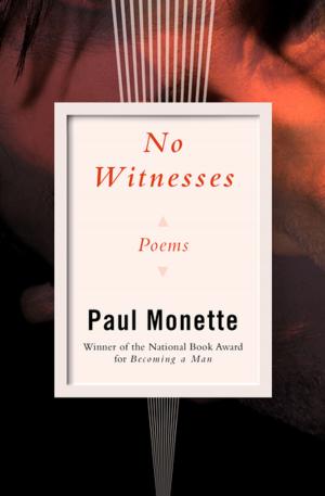 Book cover of No Witnesses