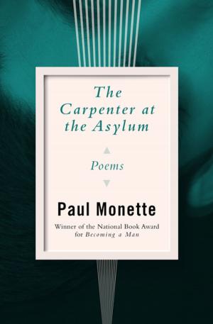 Cover of the book The Carpenter at the Asylum by Nancy Garden