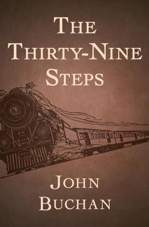 Cover of the book The Thirty-Nine Steps by Orr Kelly