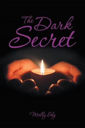 Cover of the book The Dark Secret by Leslie F. Hergert