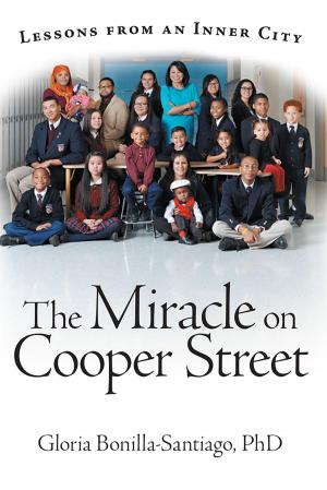 Cover of the book The Miracle on Cooper Street by Carol Calvert