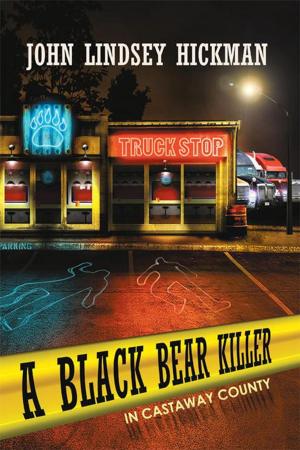 Cover of the book A Black Bear Killer in Castaway County by Jorge Pardo AIA