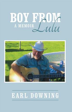 Cover of the book Boy from Lulu by Paul Phillips