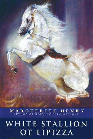 Cover of the book White Stallion of Lipizza by Padraic Colum