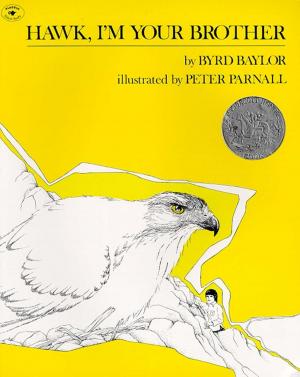 Cover of the book Hawk, I'm Your Brother by Cecil F. Alexander