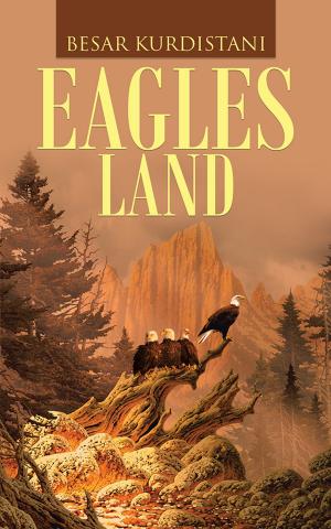 Cover of the book Eagles Land by Jamir Ahmed Choudhury