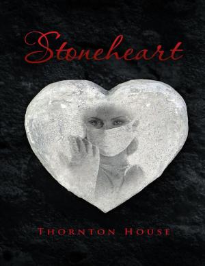 Cover of the book Stoneheart by Robert McGee Jr