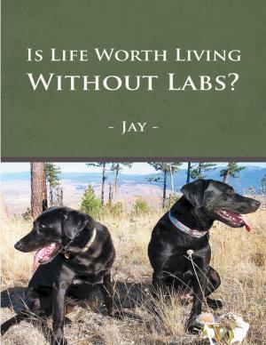 Cover of the book Is Life Worth Living Without Labs? by Donald V. “Doc” Tebbe, D.V.M.