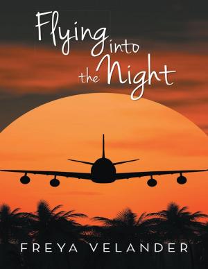 Cover of the book Flying Into the Night by Misty Reddington