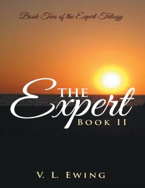 Book cover of The Expert: Book II
