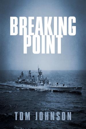Cover of the book Breaking Point by Dr. Michael Veselak, D.C., BCIM, CFMP