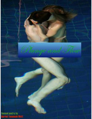 Cover of the book Plunge and Flow by Terence T. Gorski