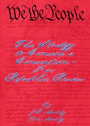 Cover of the book We the People: The Strategy to Convene a Convention – For Republic Review by Pat Rocchi