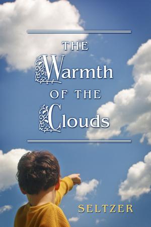 Cover of the book The Warmth of the Clouds by Jill Collins