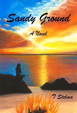 Cover of the book Sandy Ground by Dick Dadamo