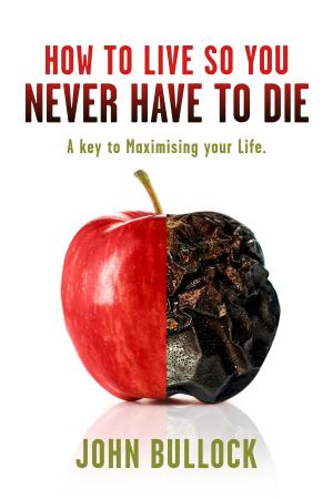 Cover of the book How to Live So You Never Have to Die by Britt Minshall