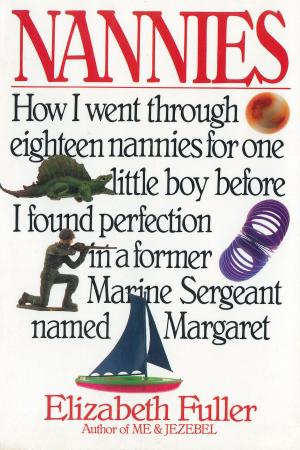 Book cover of Nannies