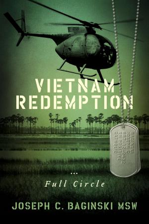 Cover of the book Vietnam Redemption...Full Circle by Shad Helmstetter