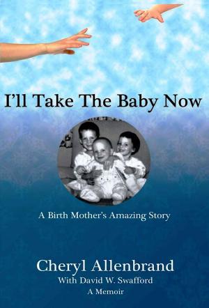 Cover of the book I'll Take the Baby Now by Lori Ballen