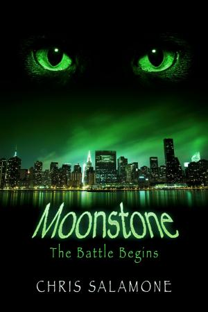 Cover of the book Moonstone by David DiPillo