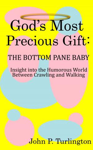 Cover of the book God's Most Precious Gift: The Bottom Pane Baby by Erin Cronin-Webb