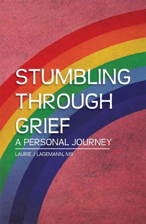 Cover of the book Stumbling Through Grief by Fidell James