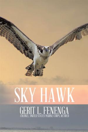 Cover of the book Sky Hawk by HOPE E. BURNS