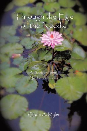 Cover of the book Through the Eye of the Needle by Eli Fleurant